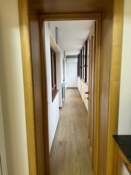 Decebal - proprietar.