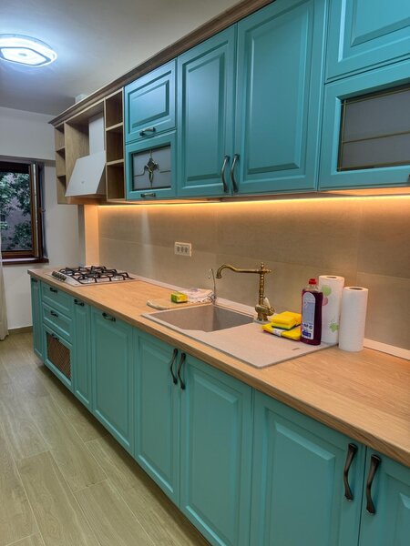 Decebal - proprietar.